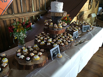 3b81f8d826c4924bc678f98850938b9a